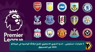 3 مليارات إسترليني.. أندية الدوري الإنجليزي تضخ أرقامًا قياسية في ميركاتو 2025 غير المسبوق